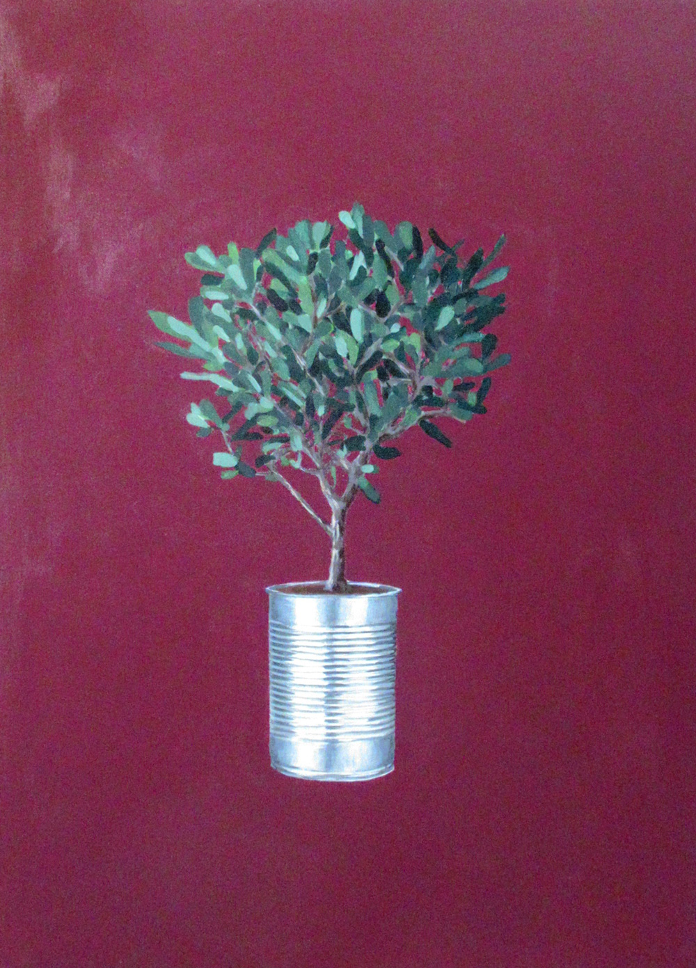 Cristina Mangini Bonsai di olivo e barattolo di latta Smalto su tela 50x70 cm